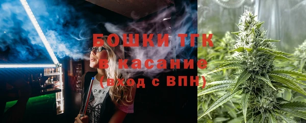 мдпв Надым